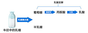 酸奶发酵原理 酸奶发酵原理